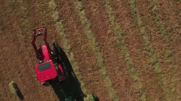 Трактор для резки и сброса сена — стоковое видео