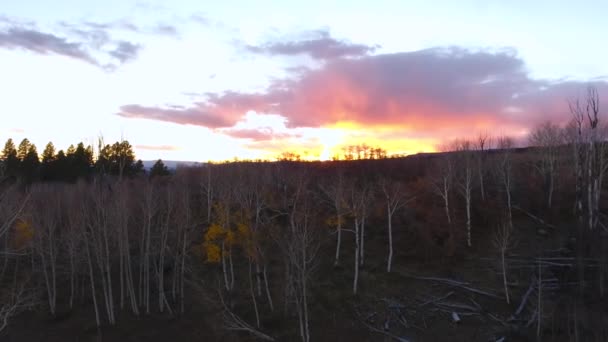 Schöne Berg Sonnenuntergang und Herbst Farben — Stockvideo