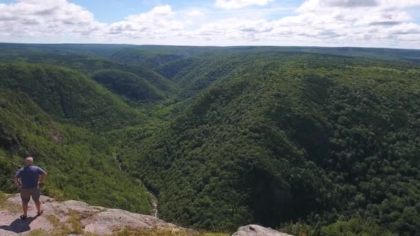 Rivier in een diepe canyon kloof met bergbos — Stockvideo