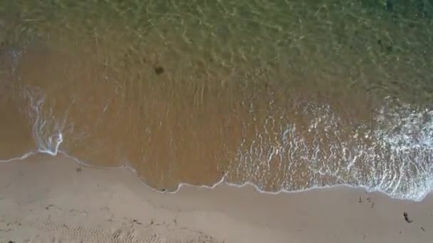Okyanus su bir plajda sakin — Stok video