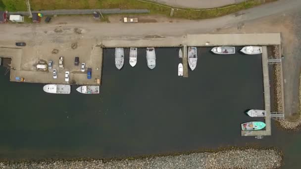 Barcos de pesca comerciais num porto protegido — Vídeo de Stock