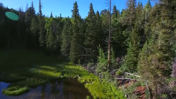 Marsh and a mountain lake at sunset — Stock Video