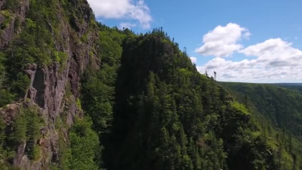 Floden i en djup kanjon ravin med fjällskog — Stockvideo