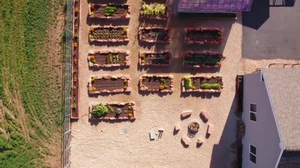 調達庭のベッドおよび野菜が付いている温室 — ストック動画