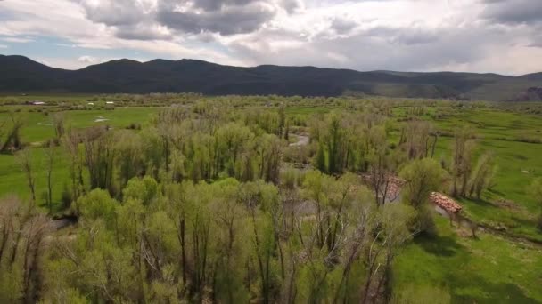 Río en primavera verde — Vídeos de Stock