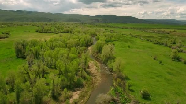 Río en primavera verde — Vídeos de Stock