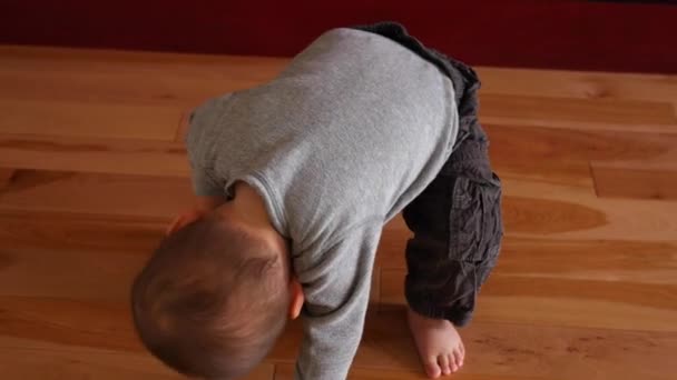 Baby boy looking for easter eggs — Stock Video