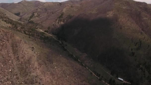 大森林火灾后被烧毁的树木 — 图库视频影像