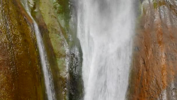 Lagere kalf Creek valt in de droge woestijn — Stockvideo