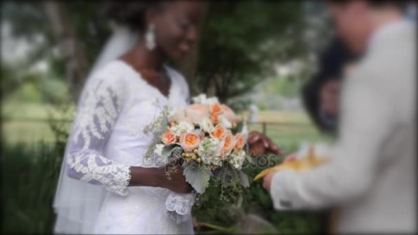 Gente celebrando durante una ceremonia de boda multirracial — Vídeos de Stock