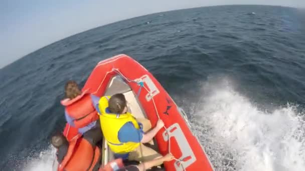 Ein kleines Boot mit Touristen — Stockvideo