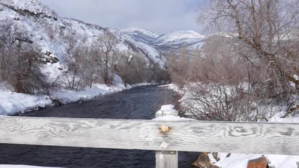 Een besneeuwde winters tafereel met brug en de rivier — Stockvideo