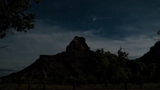 Пустынная попка и звезды под ночью — стоковое видео