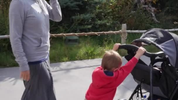 Ett småbarn som driver en bebis i barnvagn — Stockvideo