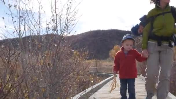 Eine Frau und Jungen wandern auf Wanderweg im Garten — Stockvideo