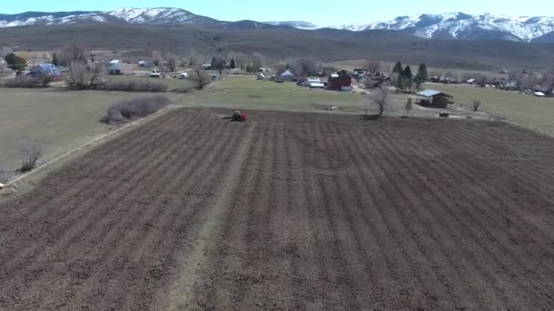 Trator campo de cultivo e cavalos de pastagem — Vídeo de Stock