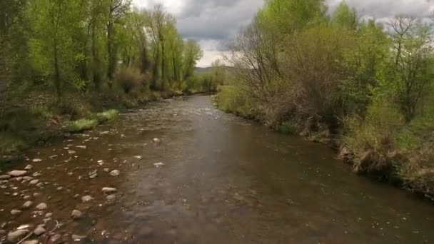Río en primavera verde — Vídeos de Stock