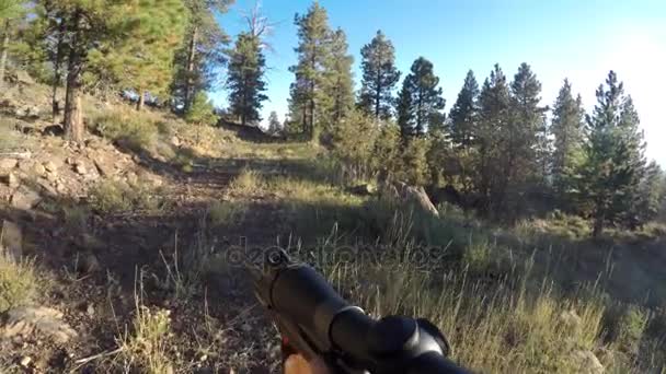 Avcı tüfeği tutan ve forrest yürüyor — Stok video