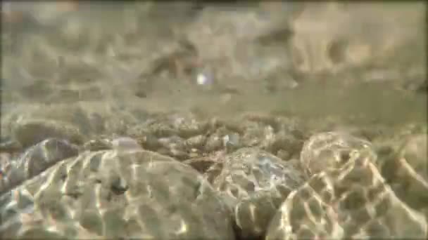 Підводний знімок сім'ї на кам'янистому пляжі — стокове відео