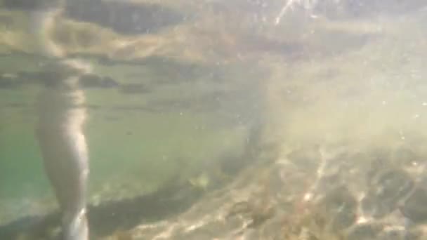 En underwater skott av familjen i havet — Stockvideo