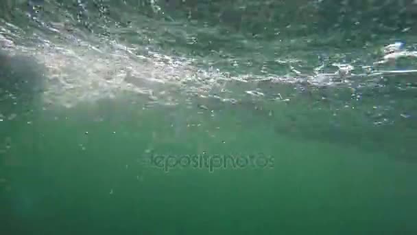 Grandi onde oceaniche grezze — Video Stock