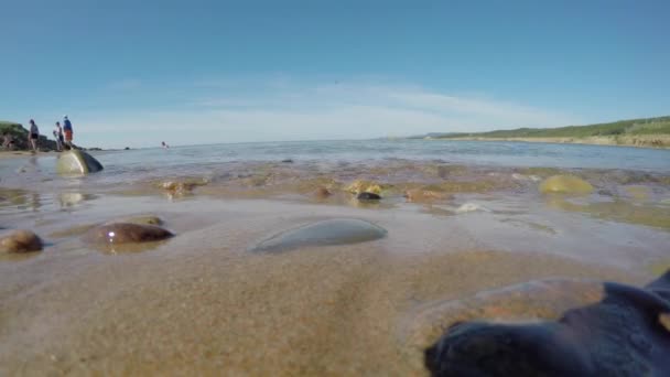 Persone su una spiaggia rocciosa nell'oceano — Video Stock