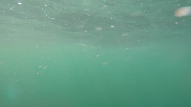 Великі нерівні океанічні хвилі — стокове відео