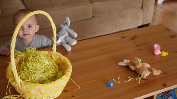 Bebek çocuk arıyorsunuz Paskalya yumurtaları için — Stok video