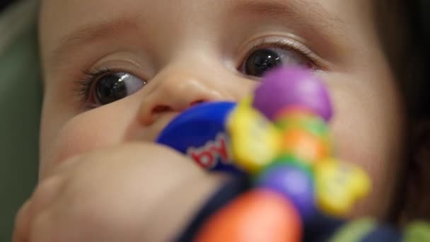 おもちゃで遊んで carseat に男の子の赤ちゃん — ストック動画