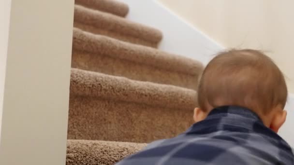 Baby learning to climb stairs in home — Stock Video