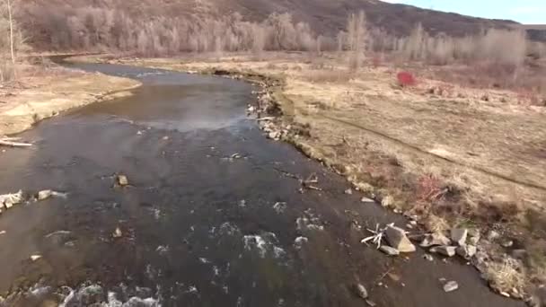 Bir doğa rezerv bir dağ nehir, Balık adam — Stok video