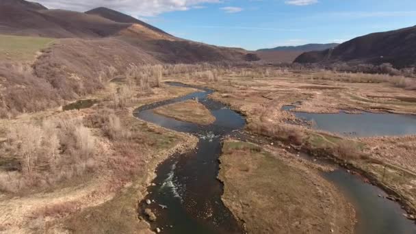 Río de montaña en la primavera — Vídeos de Stock