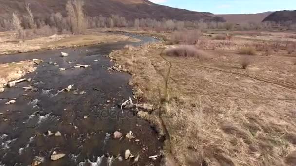 Rzeki w rezerwacie przyrody — Wideo stockowe