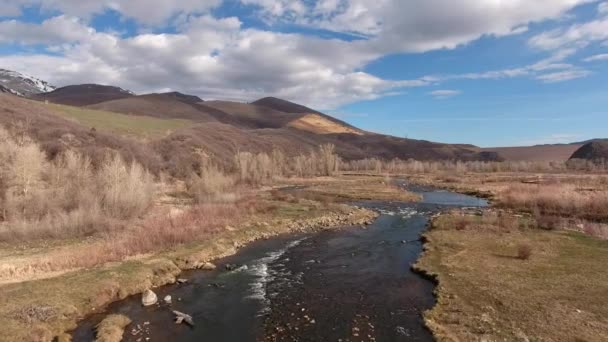 Rio de montanha na primavera — Vídeo de Stock