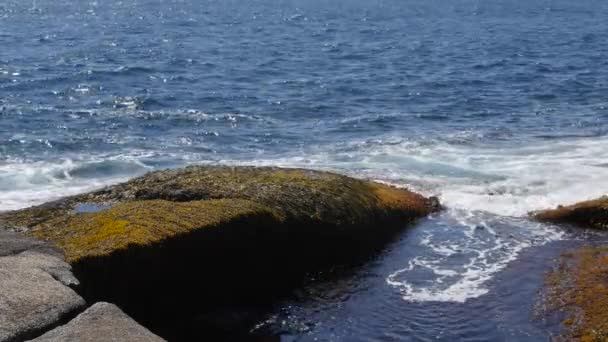 Waves crash on beautiful rocky ocean — Stock Video