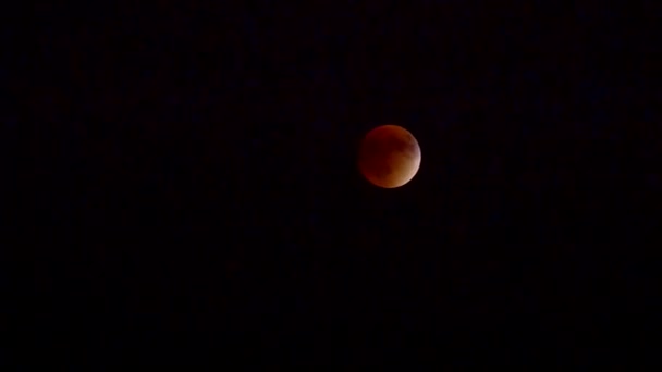 Blood moon från lunar eclipse — Stockvideo