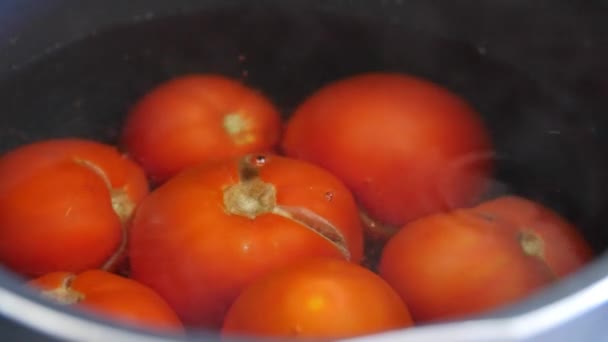Ντομάτες για σάλτσα σε μια κατσαρόλα με ζεστό νερό που βράζει — Αρχείο Βίντεο