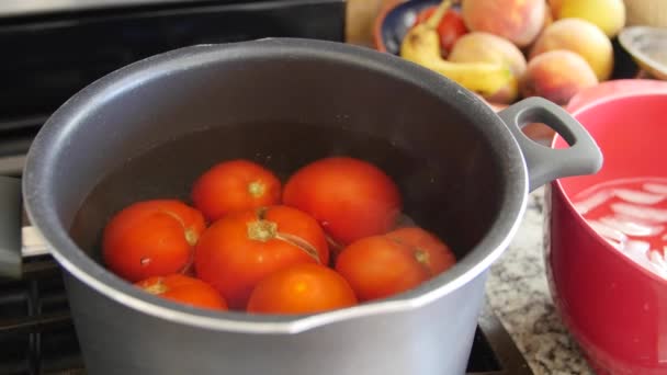 Boiling tomatos for salsa in a pot — Stock Video