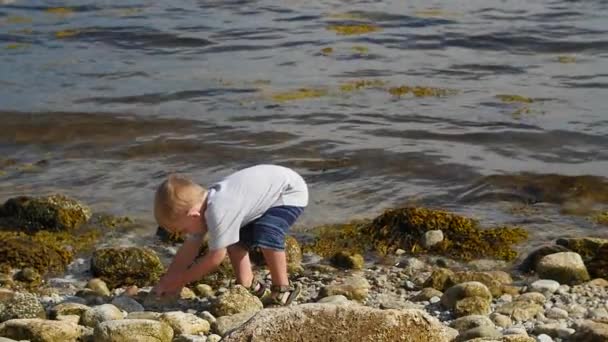 Pojke väljer rock att kasta i havet — Stockvideo