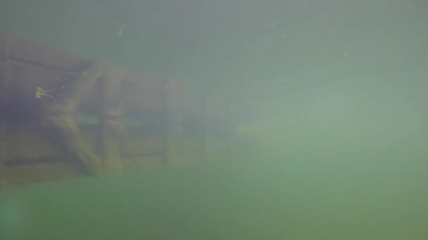 Un niño pescando con un poste en un muelle — Vídeos de Stock