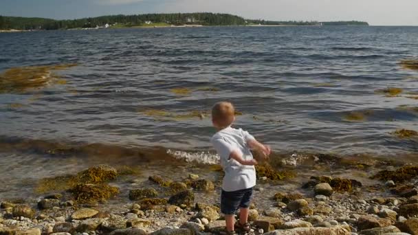 Jongen met plezier aan de Oceaan — Stockvideo