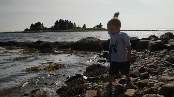 Rapaz a atirar pedras para o oceano — Vídeo de Stock