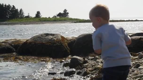 Rapaz atira pedras para o oceano — Vídeo de Stock