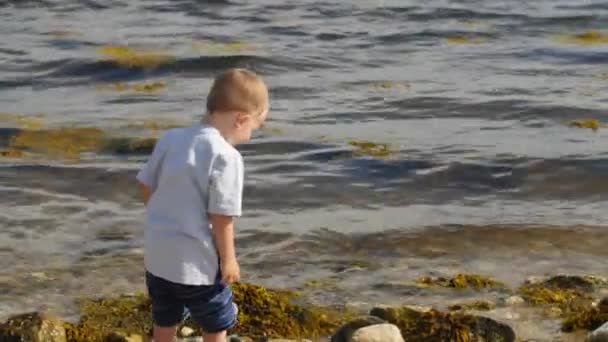 Pojke kastar sten i havet — Stockvideo