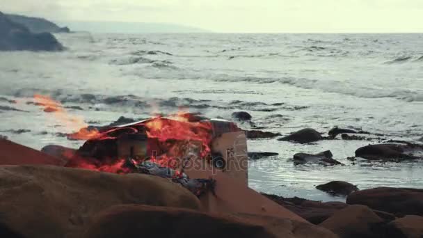 Burning σκουπίδια στην ακτή στον ωκεανό — Αρχείο Βίντεο