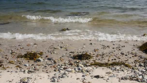 Des vagues calmes tombent sur un littoral rocheux et sablonneux — Video