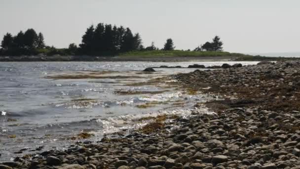 Güzel sahil şeridi üzerinde sakin dalgalar — Stok video