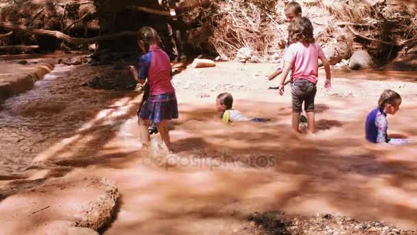 Kinderen spelen in de woestijn rivier — Stockvideo