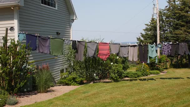 La ropa que se seca en la línea que sopla en el viento — Vídeo de stock