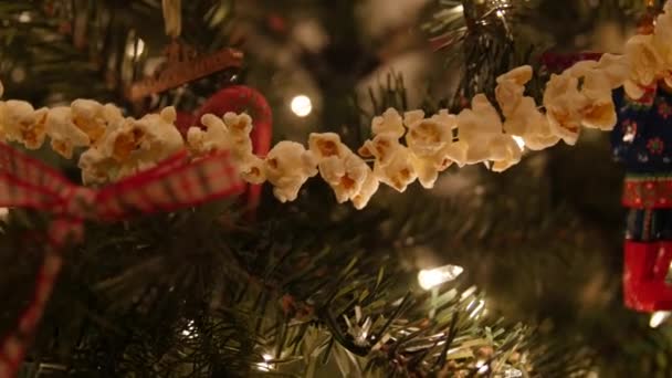 Όμορφη ψηλό δέντρο Χριστούγεννα — Αρχείο Βίντεο